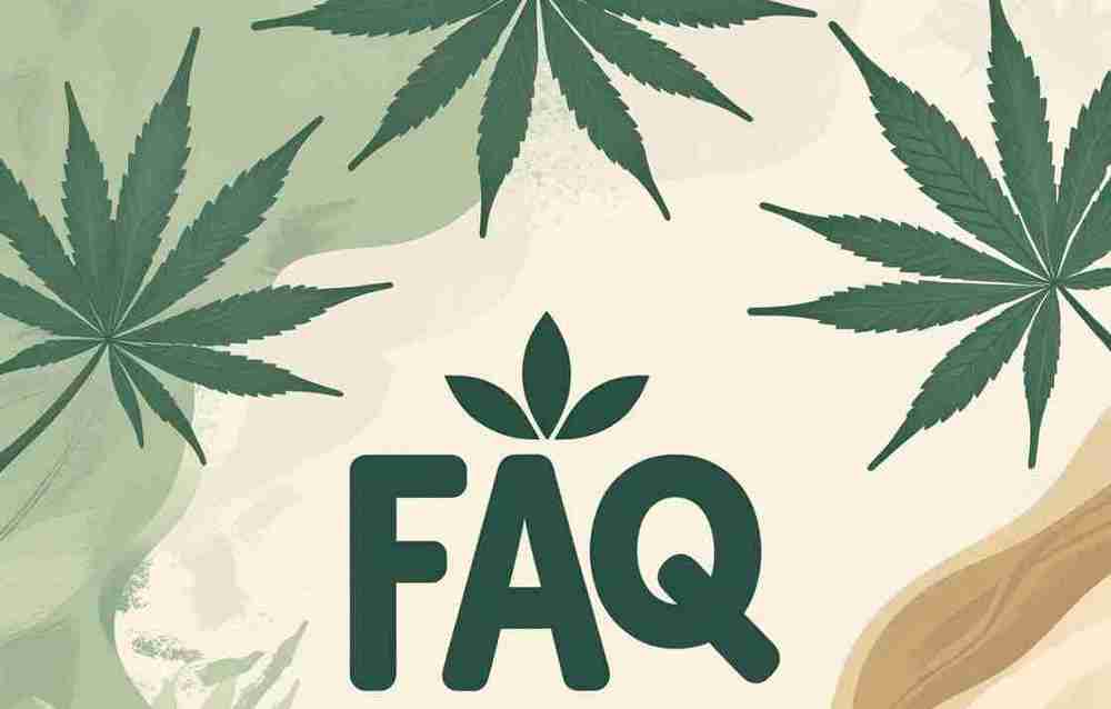 Dúvidas Frequentes – Legalidade CBD e outros cannabinóides em Portugal e Europa.