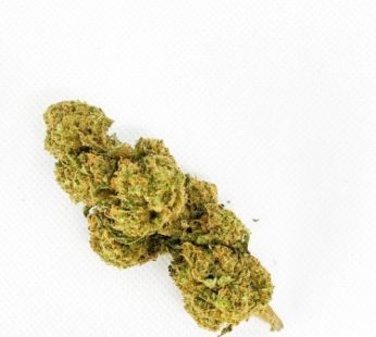 Origin Cali Haze CBD Flower – Cultivo indoor | Qualidade Premium