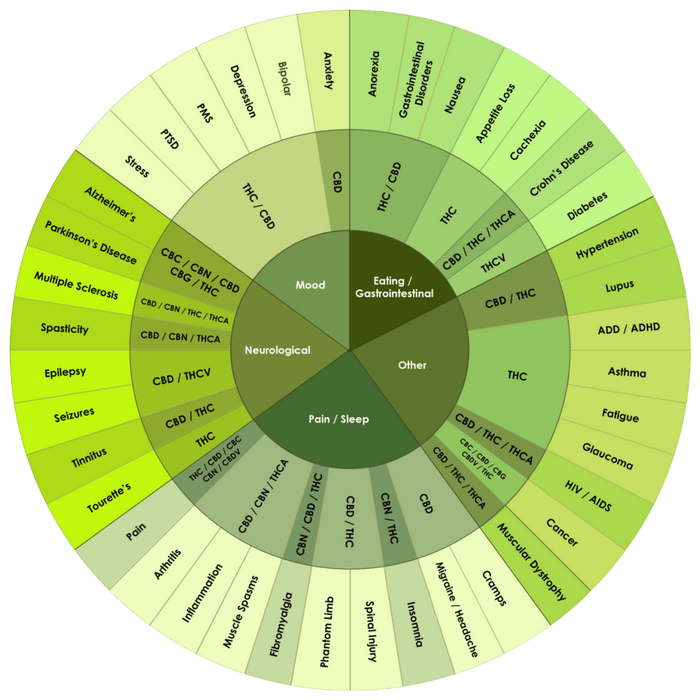 thc-cbd-canabis-portugal-lojadakayacbd.pt