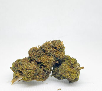 Pré-Enrolado Kaya – Flor Premium com 10-OH | Efeito Relaxante