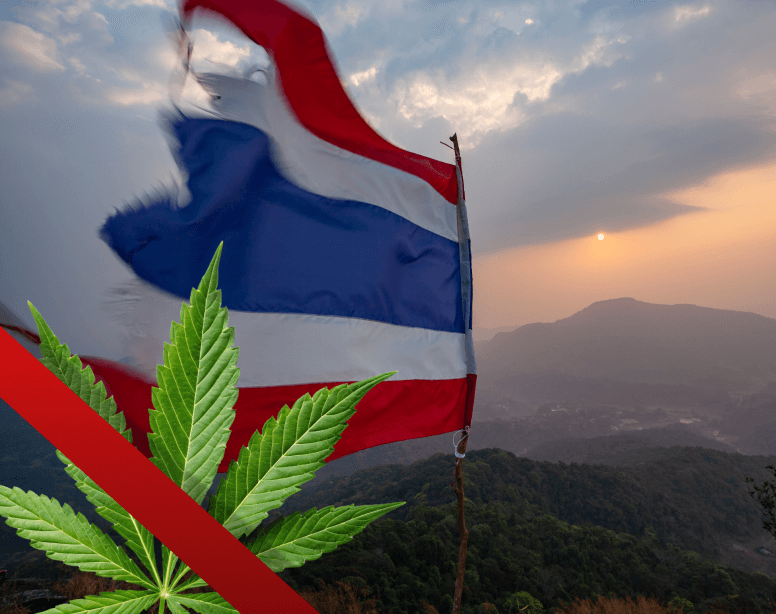 Tailândia: O Retrocesso na Legalização da Cannabis Recreativa