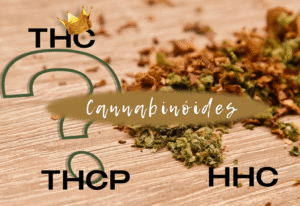cannabinoides-thcp-hhc-em-portugal