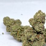 PURPLE-GELADO-CBD (1)